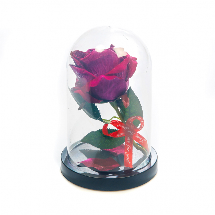 Aranjament floral mov  in cupola de plastic [3]