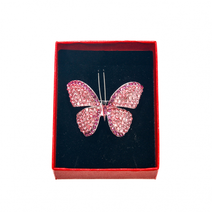 Brosa medie eleganta cu fluturas roz [2]