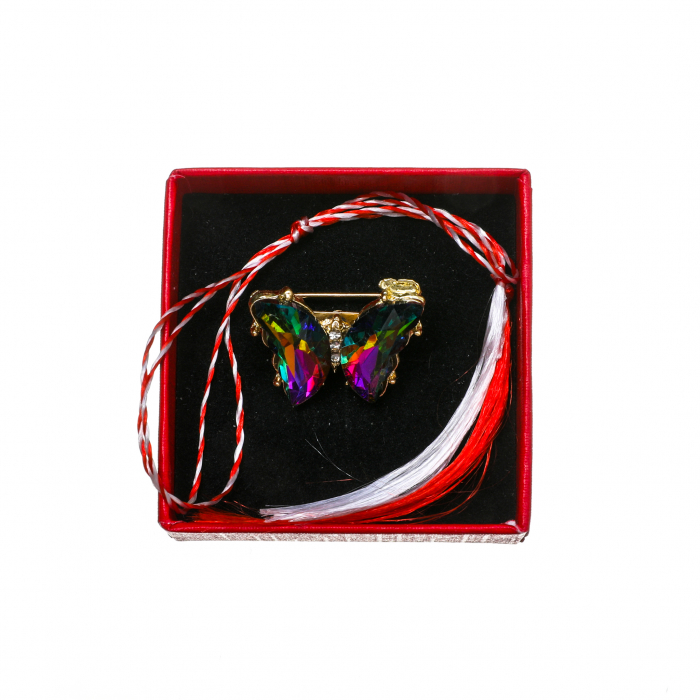 Brosa mica eleganta cu fluturas multicolor [3]