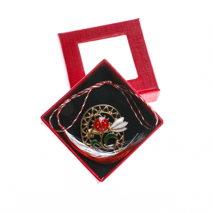 Brosa mica eleganta in forma de potcoava cu ghiocel si buburuza [3]