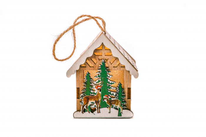 Casuta din lemn care lumineaza [2]