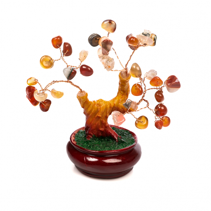 Copac Bonsai Feng Shui mediu cu pietre semipretioase - Carneol [3]