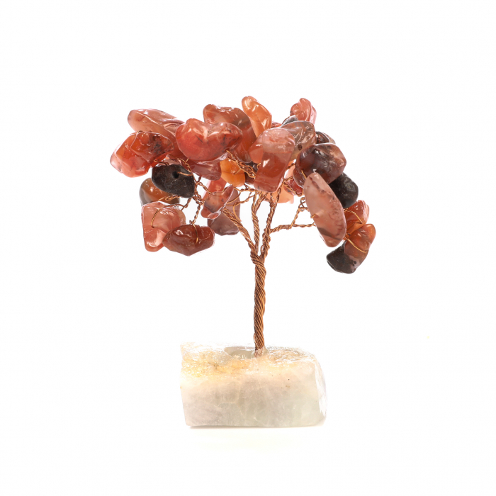 Copac Feng Shui cu baza de Fluorit si pietre semipretioase - Carneol [2]