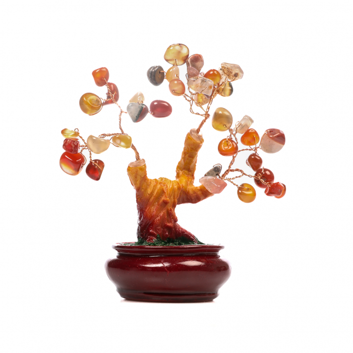 Copac Bonsai Feng Shui mediu cu pietre semipretioase - Carneol [2]