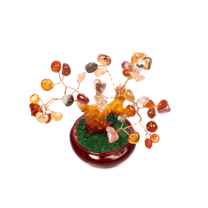 Copac Bonsai Feng Shui mediu cu pietre semipretioase - Carneol [6]