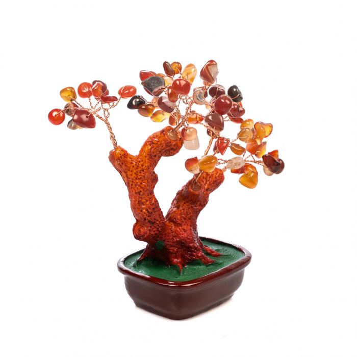 Copac Feng Shui mare cu pietre semipretioase - Carneol [5]