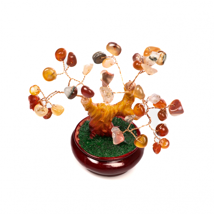 Copac Bonsai Feng Shui mediu cu pietre semipretioase - Carneol [4]