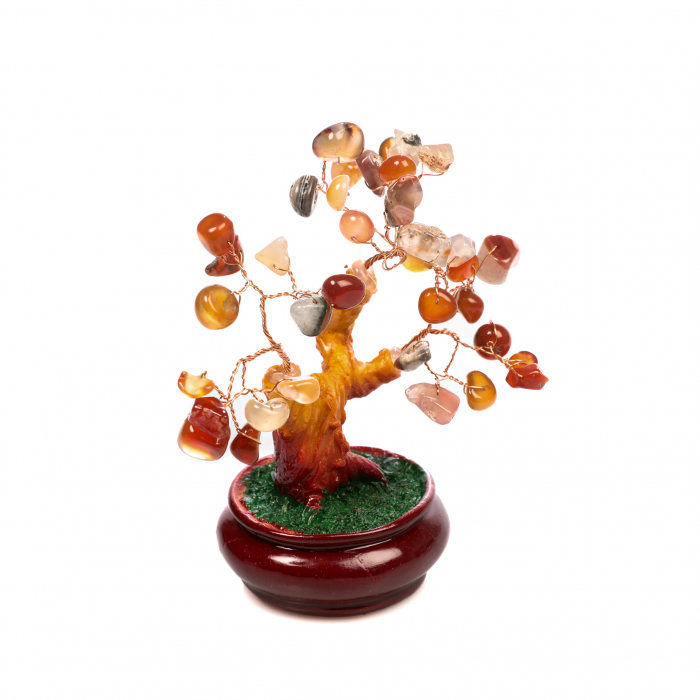 Copac Bonsai Feng Shui mediu cu pietre semipretioase - Carneol [5]