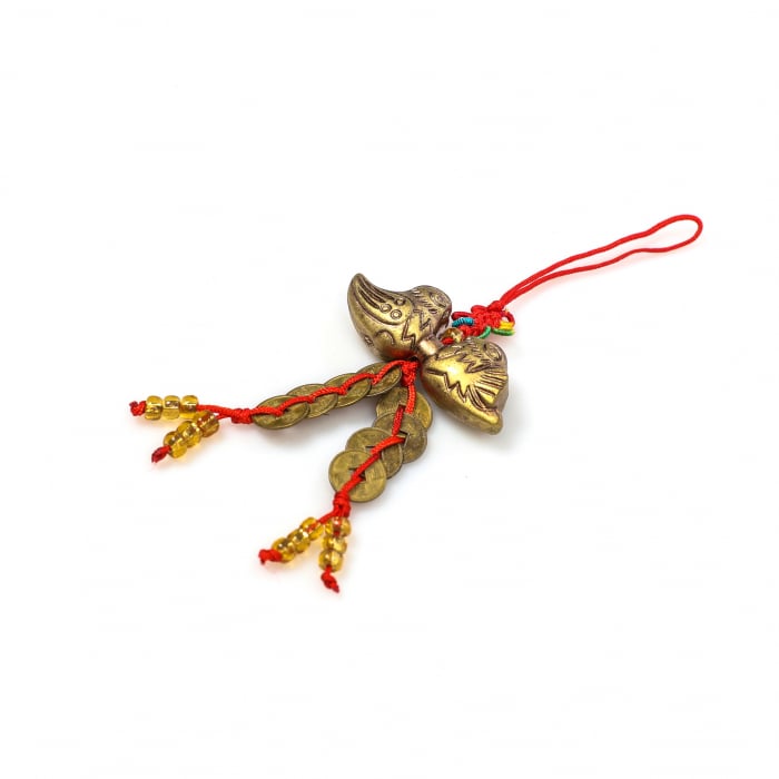 Amuleta Feng Shui cu 2 ratuste si monede chinezesti [3]