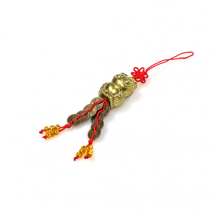 Amuleta Feng Shui cu Bufnita si monede chinezesti [3]