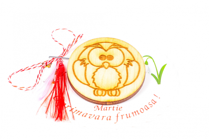 Insigna din lemn cu o bufnita [2]