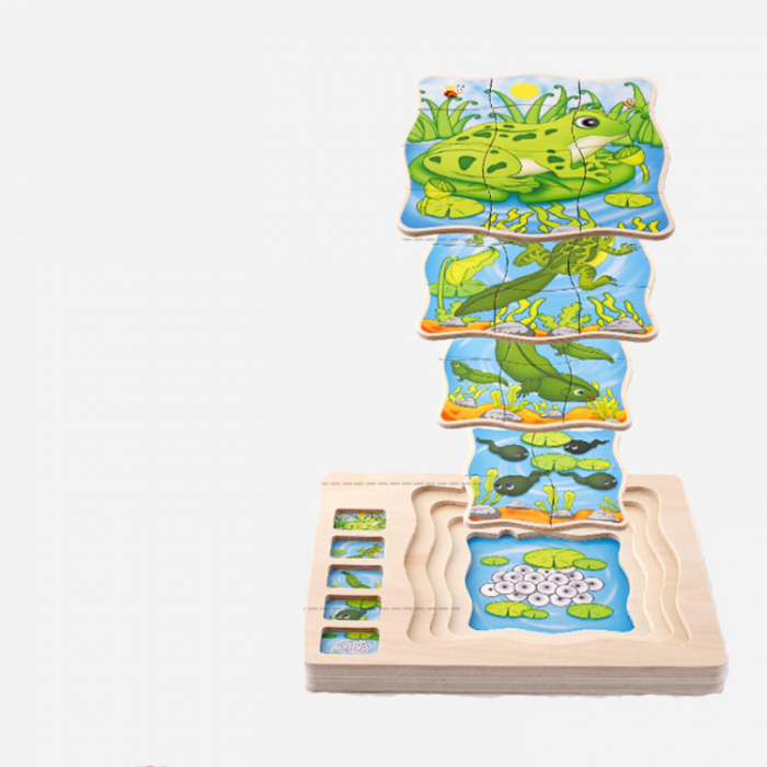 Joc Montessori din lemn - puzzle inteligent 5 in 1 broscuta [2]