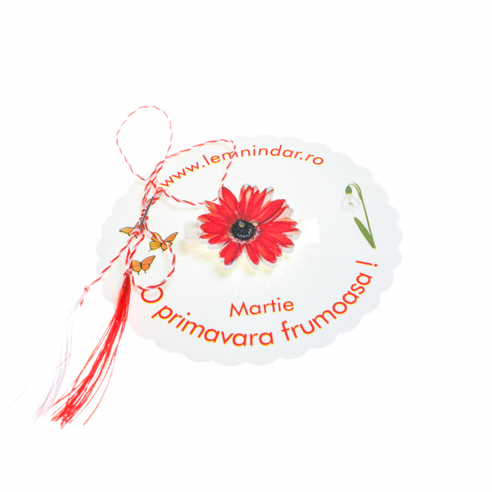 Martisor-brosa cu o margareta rosie cu centru negru [3]