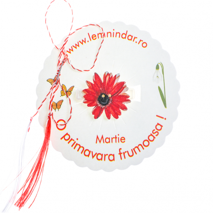 Martisor-brosa cu o margareta rosie cu centru negru [2]