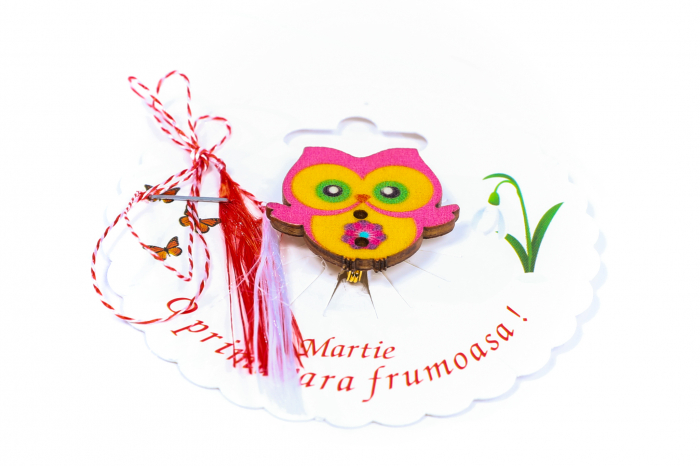 Martisor-brosa cu o bufnita [2]