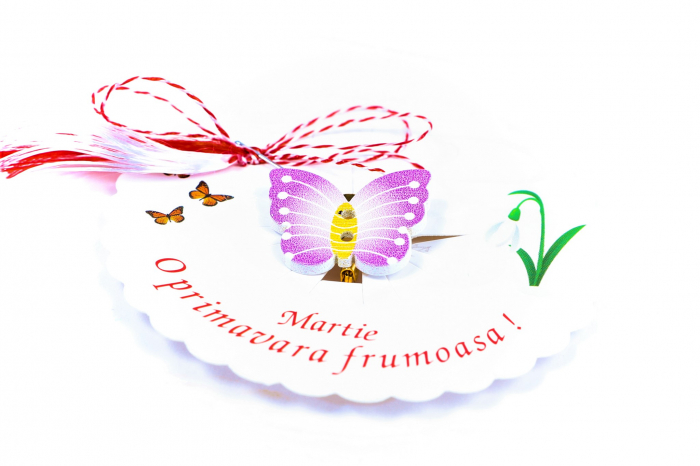Martisor-brosa cu un fluture mov cu galben [2]