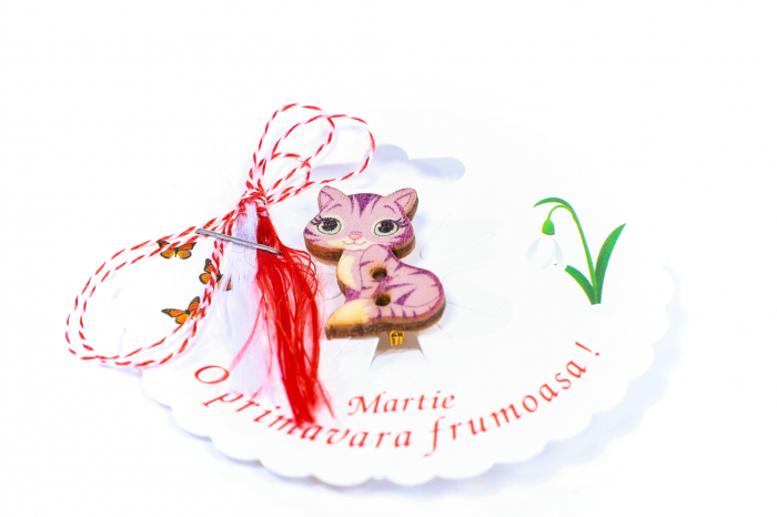 Martisor-brosa cu o pisicuta [2]