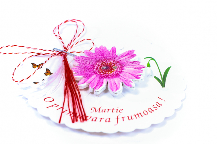 Martisor-brosa cu o margareta mare roz [2]