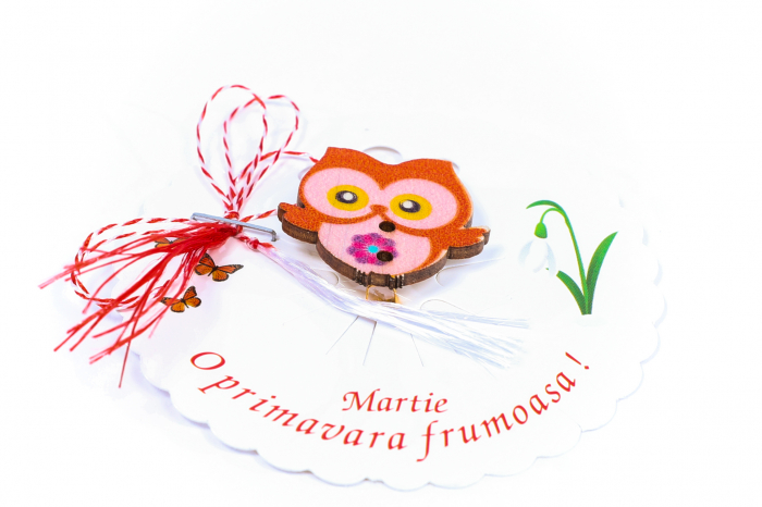 Martisor-brosa cu o bufnita [2]