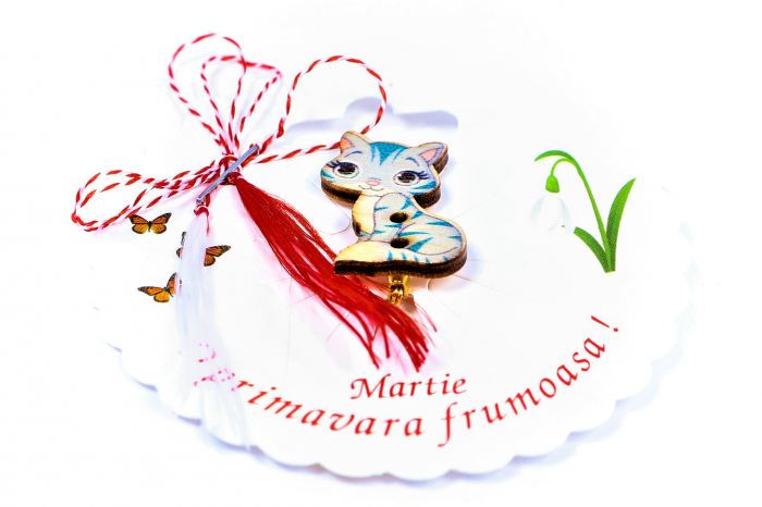 Martisor-brosa cu o pisicuta [2]