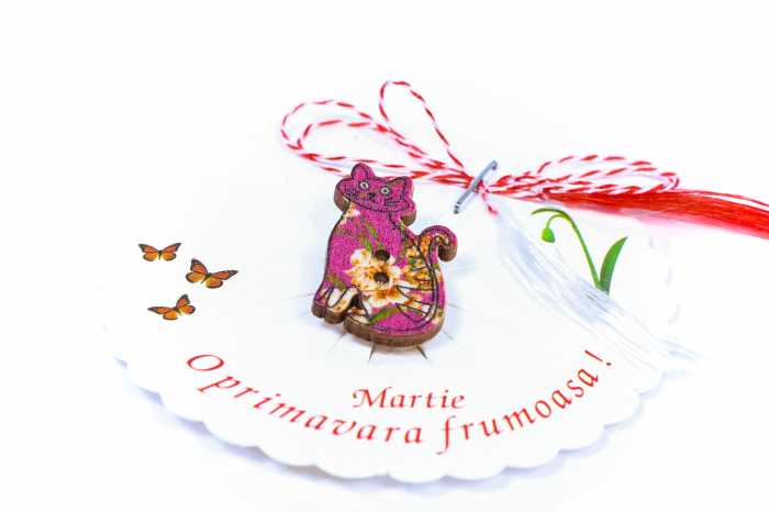 Martisor-brosa cu o pisicuta [2]