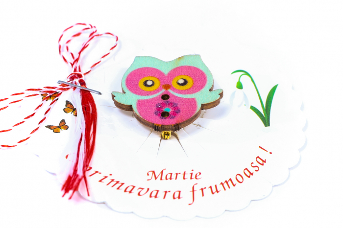 Martisor-brosa cu o bufnita [2]