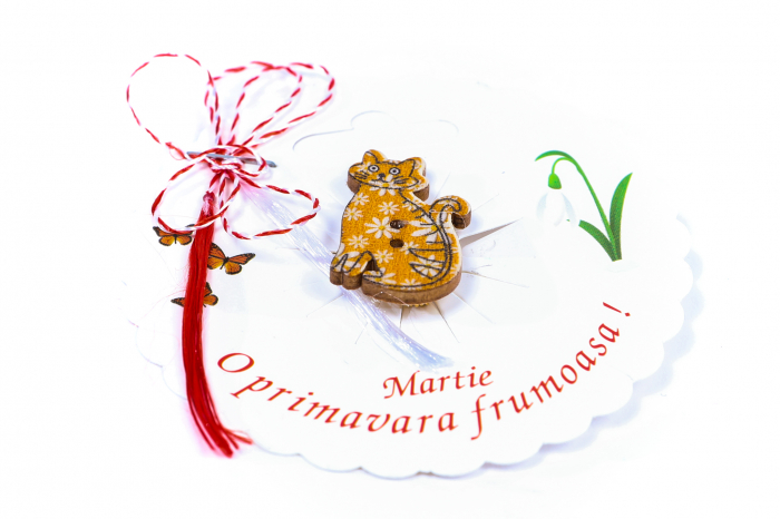 Martisor-brosa cu o pisicuta [2]