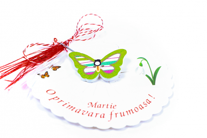 Martisor-brosa cu un fluturas verde cu dungi [2]