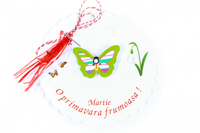 Martisor-brosa cu un fluturas