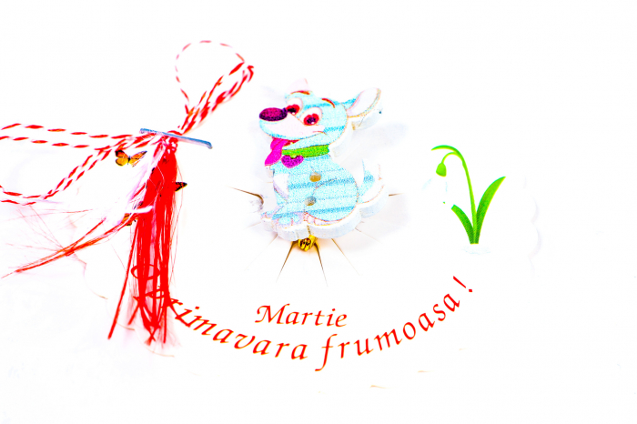 Martisor-brosa cu un catelus albastru [2]