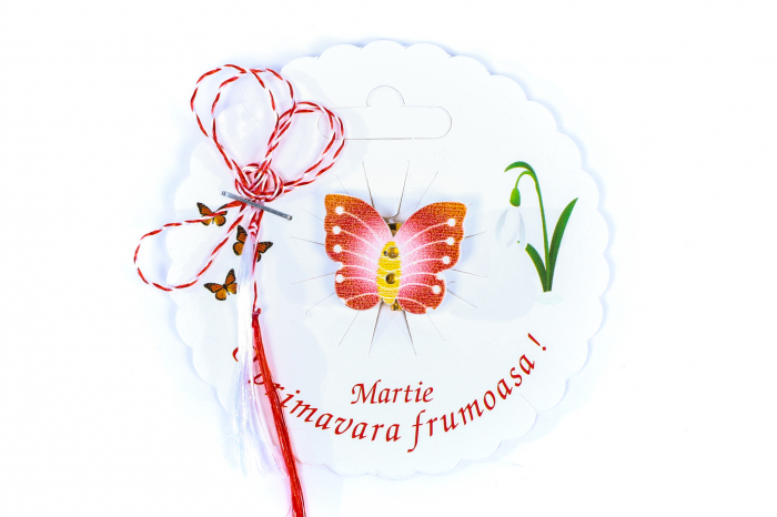 Martisor-brosa cu un fluturas