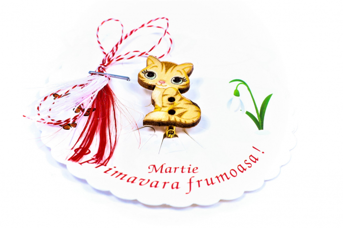 Martisor-brosa cu o pisicuta [2]