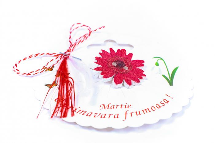 Martisor-brosa cu o margareta rosie [2]