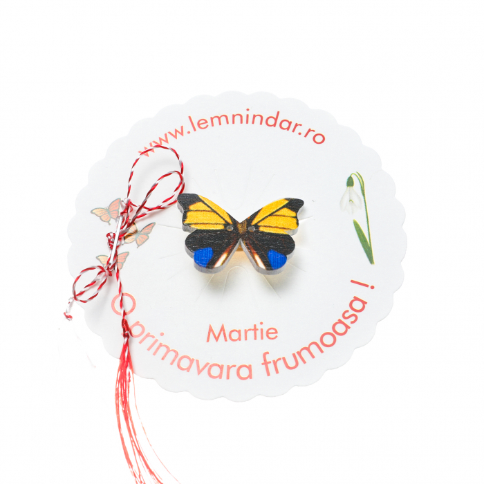Martisor-brosa cu un fluturas model cu galben si albastru [2]