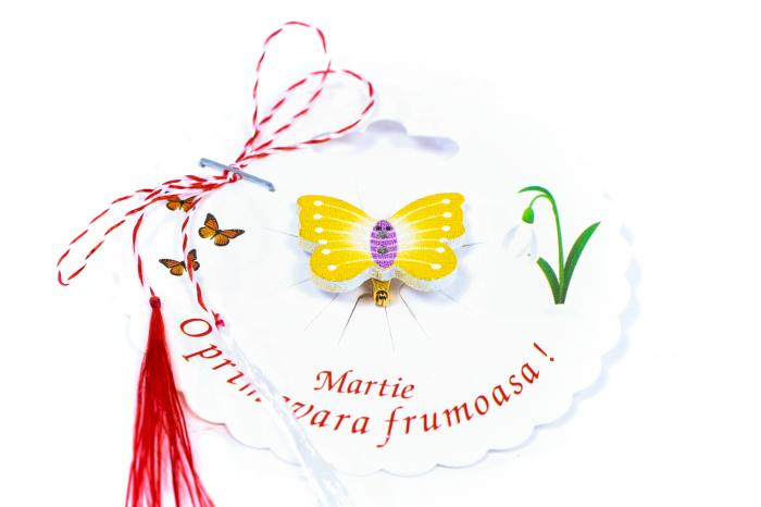 Martisor-brosa cu un fluture galben cu mov [2]