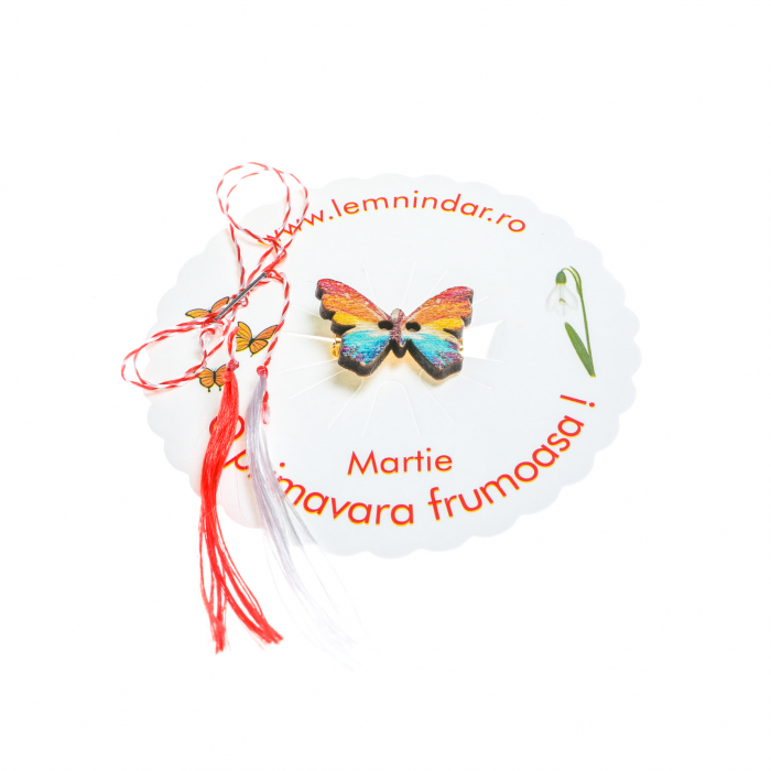 Martisor-brosa cu un fluturas model curcubeu [2]