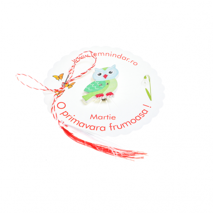 Martisor-brosa cu o bufnita draguta cu nuante de verde si cap albastru [3]