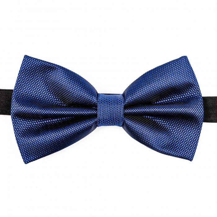 Papion albastru cu butoni si batista [6]