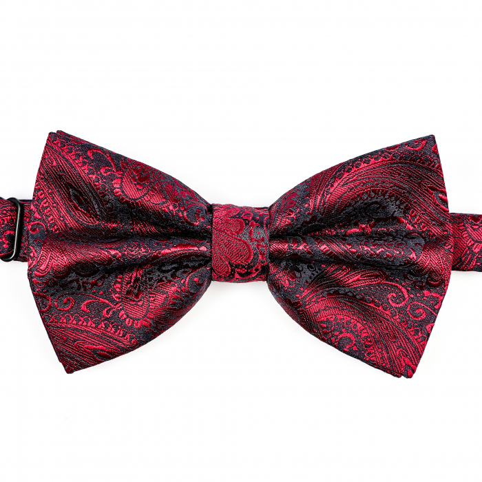 Papion visiniu cu butoni si batista [6]