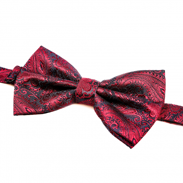 Papion visiniu cu butoni si batista [7]