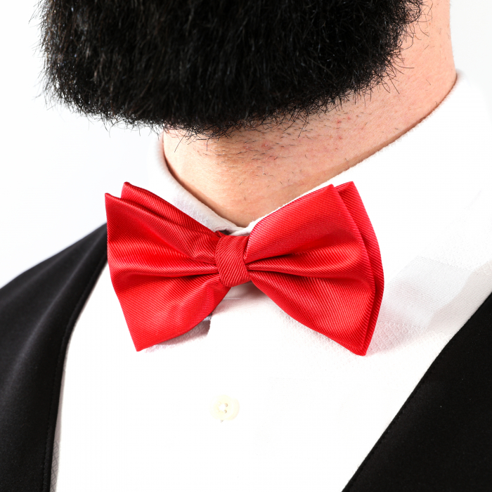 Papion rosu cu butoni si batista [9]