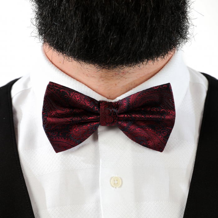 Papion visiniu cu butoni si batista [9]