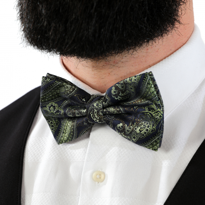 Papion albastru inchis cu model vernil cu butoni si batista [8]