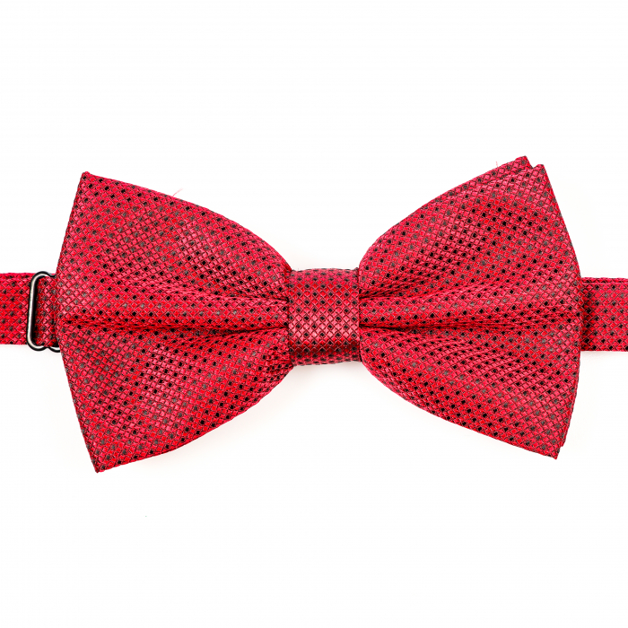 Papion rosu cu puncte negre cu butoni si batista [6]
