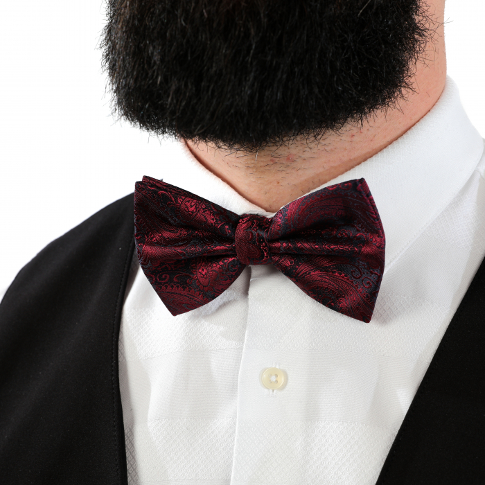 Papion visiniu cu butoni si batista [8]