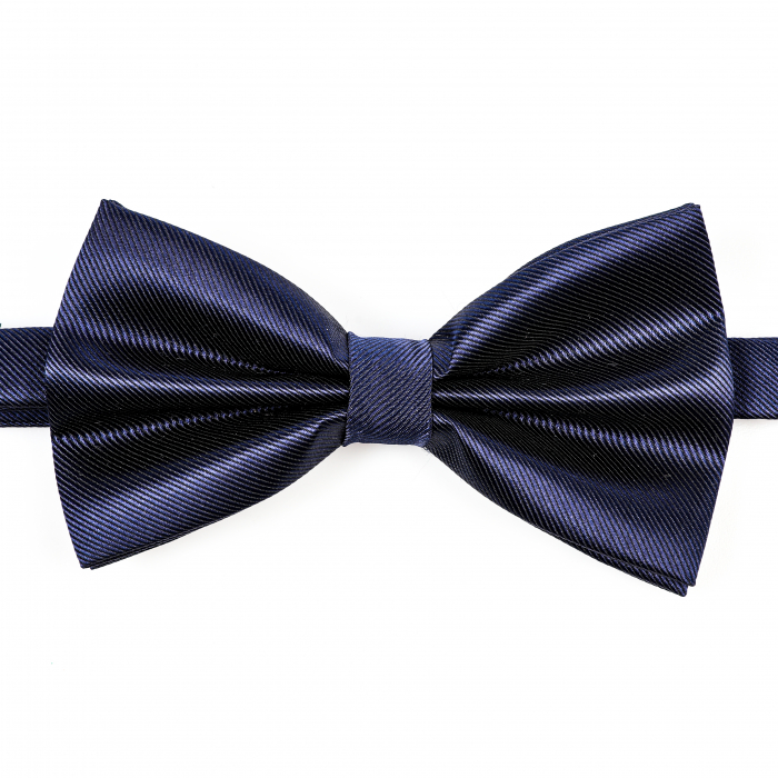 Papion albastru inchis cu butoni si batista [6]