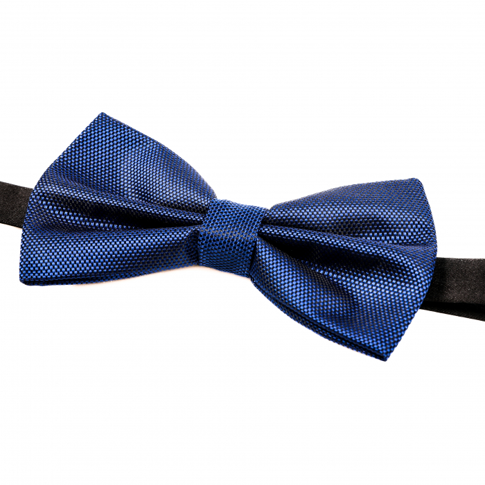 Papion albastru cu butoni si batista [7]