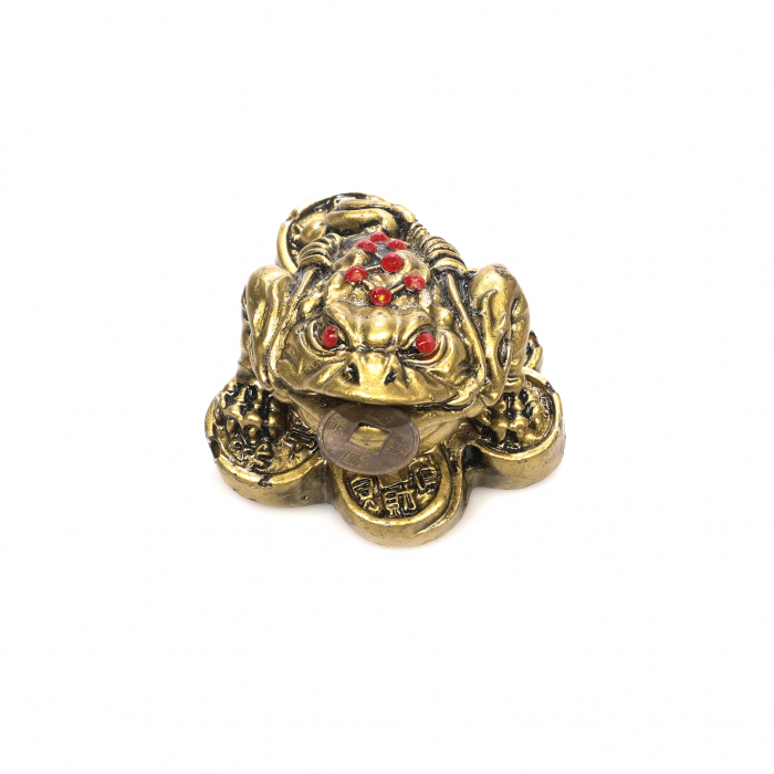 Statueta Feng Shui Broasca mica pe monede cu 3 picioare pentru noroc si bani [2]