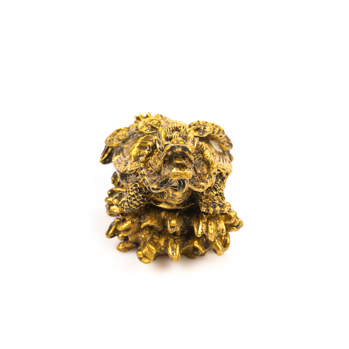 Statueta Feng Shui Broasca Testoasa cu cap de dragon si lant de monede, pentru noroc si bunastare [2]
