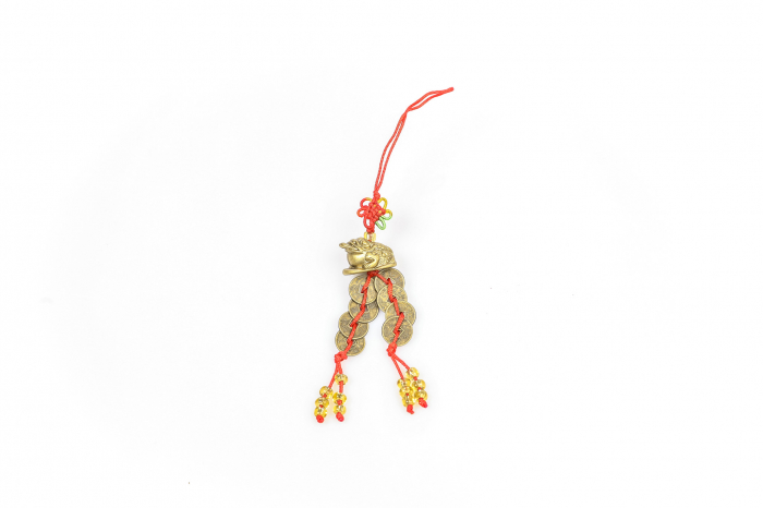 Amuleta canaf Feng Shui broasca raioasa cu monede chinezesti [3]